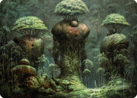 Forest Art Card [Dominaria United Art Series] | Shuffle n Cut Hobbies & Games