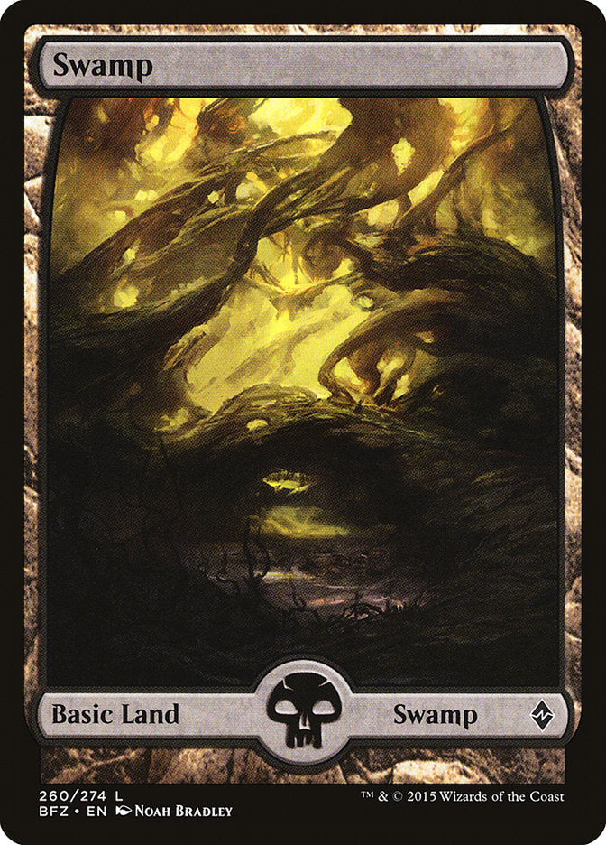 Swamp (260) (Full Art) [Battle for Zendikar] | Shuffle n Cut Hobbies & Games