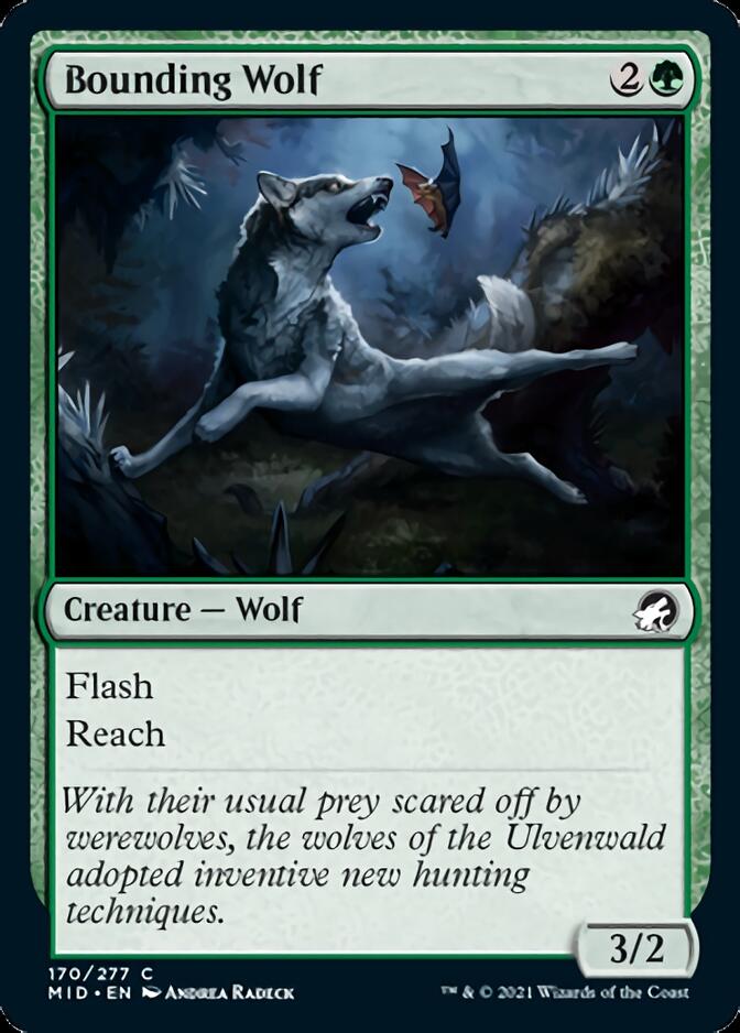 Bounding Wolf [Innistrad: Midnight Hunt] | Shuffle n Cut Hobbies & Games