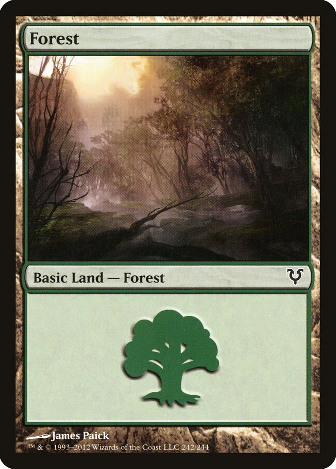 Forest (242) [Avacyn Restored] | Shuffle n Cut Hobbies & Games