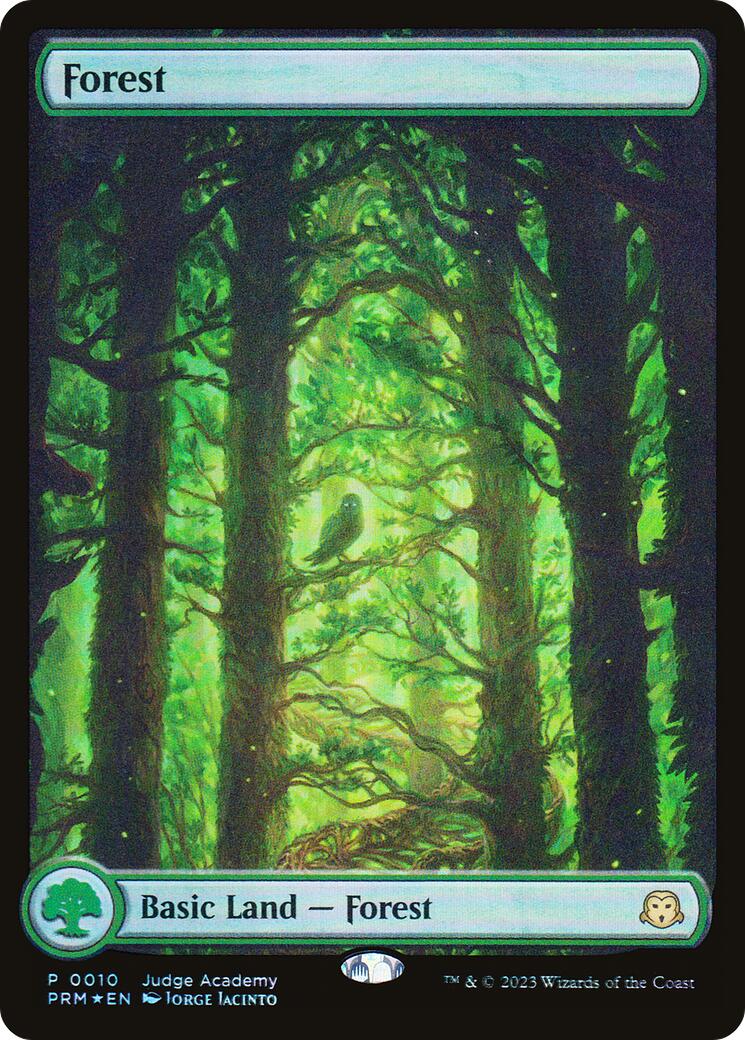Forest [Judge Gift Cards 2023] | Shuffle n Cut Hobbies & Games