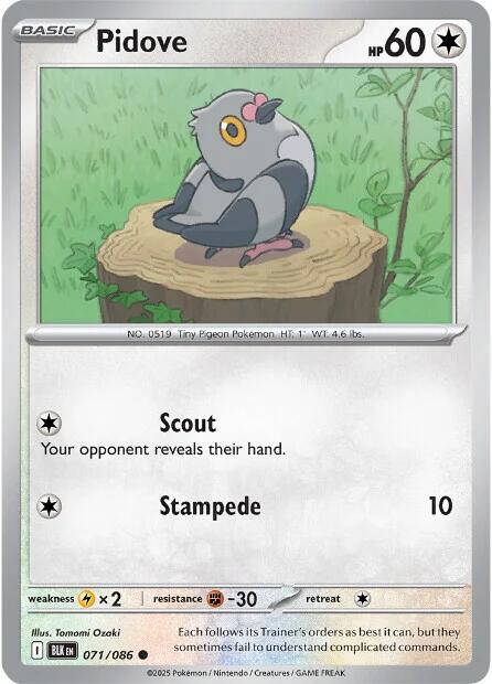Pidove (071/086) [Scarlet & Violet: Black Bolt] | Shuffle n Cut Hobbies & Games