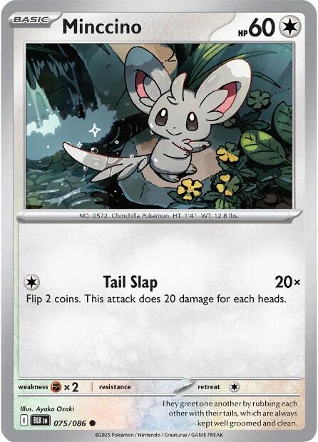 Minccino (075/086) [Scarlet & Violet: Black Bolt] | Shuffle n Cut Hobbies & Games