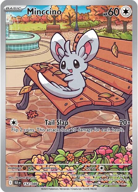 Minccino (152/086) [Scarlet & Violet: Black Bolt] | Shuffle n Cut Hobbies & Games