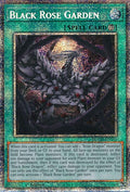Black Rose Garden (Starlight Rare) [DOOD-EN055] Starlight Rare
