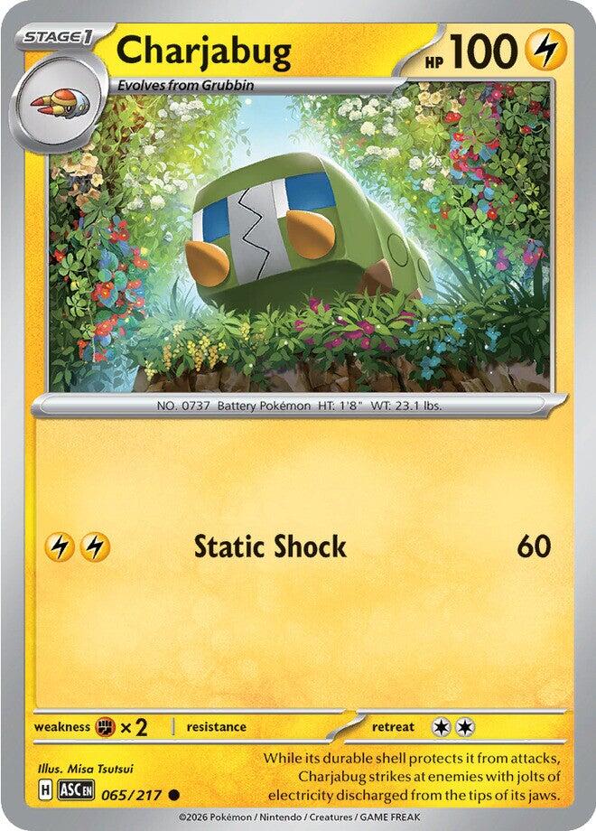 Charjabug (065/217) [Mega Evolution: Ascended Heroes] | Shuffle n Cut Hobbies & Games