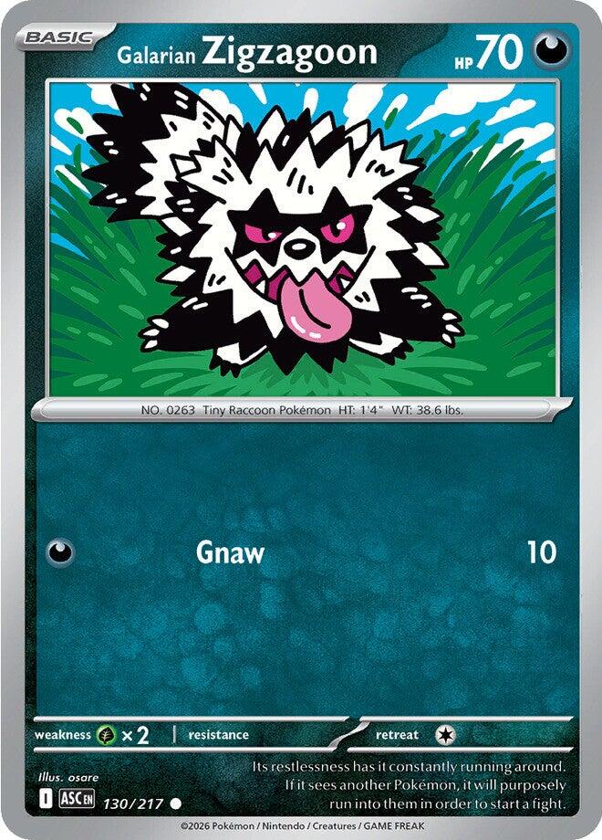 Galarian Zigzagoon (130/217) [Mega Evolution: Ascended Heroes] | Shuffle n Cut Hobbies & Games