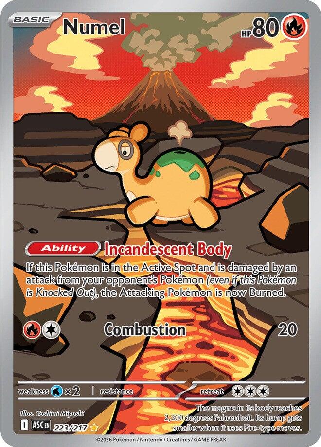 Numel (223/217) [Mega Evolution: Ascended Heroes] | Shuffle n Cut Hobbies & Games