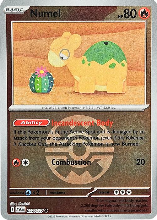 Numel (027/217) (Quick Ball) [Mega Evolution: Ascended Heroes] | Shuffle n Cut Hobbies & Games
