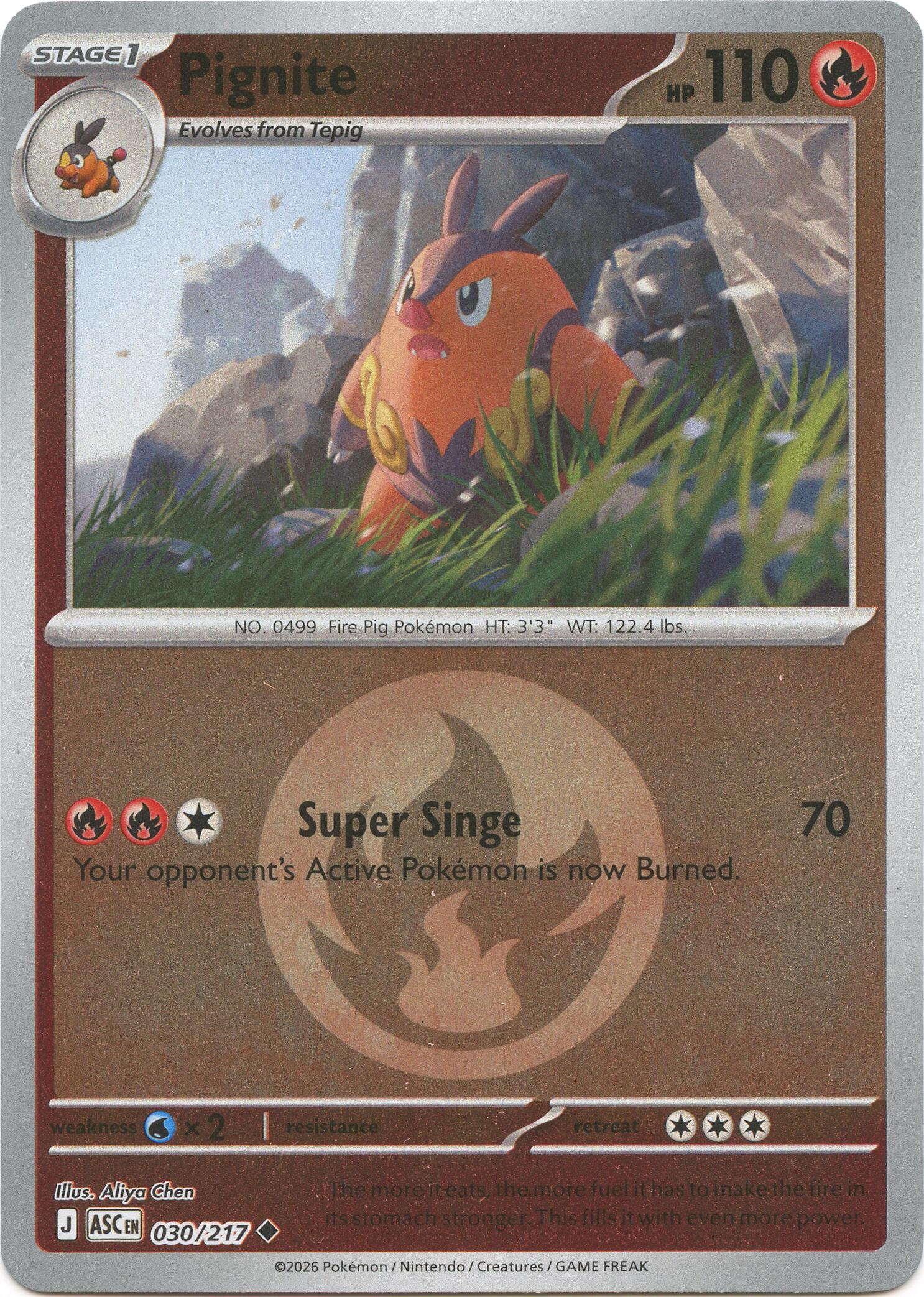 Pignite (030/217) (Energy Symbol Pattern) [Mega Evolution: Ascended Heroes] | Shuffle n Cut Hobbies & Games