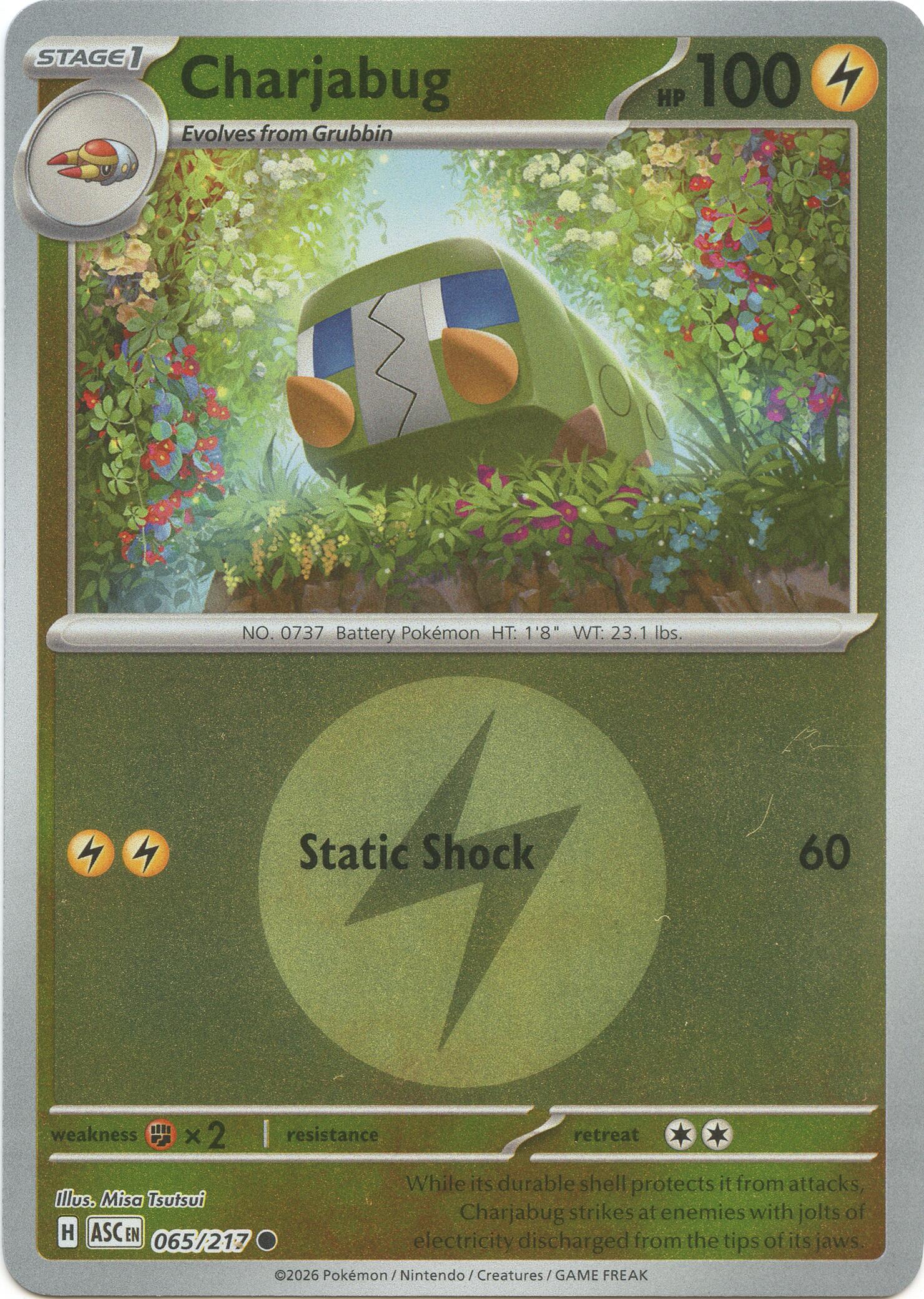 Charjabug (065/217) (Energy Symbol Pattern) [Mega Evolution: Ascended Heroes] | Shuffle n Cut Hobbies & Games