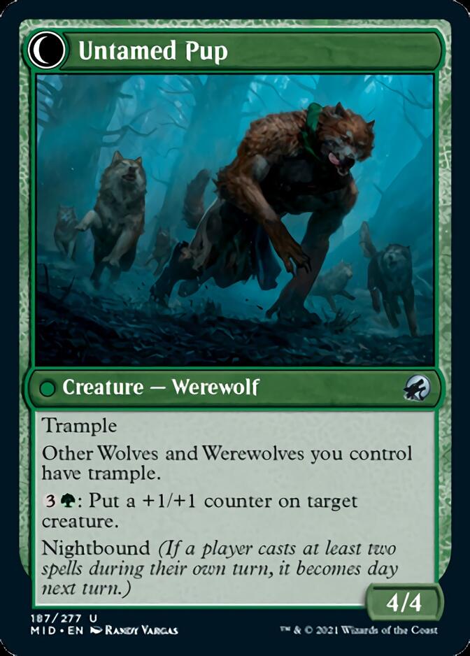 Hound Tamer // Untamed Pup [Innistrad: Midnight Hunt] | Shuffle n Cut Hobbies & Games