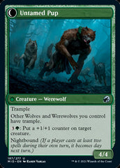 Hound Tamer // Untamed Pup [Innistrad: Midnight Hunt] | Shuffle n Cut Hobbies & Games