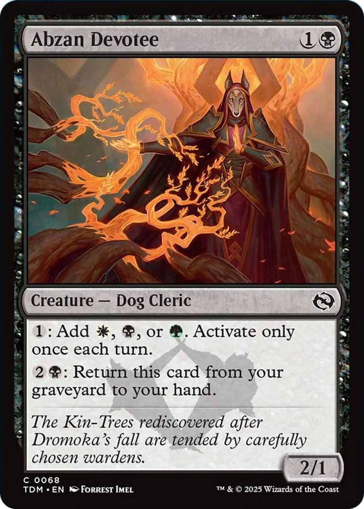 Abzan Devotee [Tarkir: Dragonstorm] | Shuffle n Cut Hobbies & Games