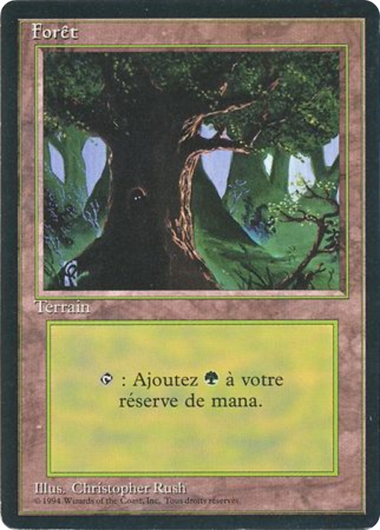 Forest (C) [Revised Edition (Foreign Black Border)] | Shuffle n Cut Hobbies & Games
