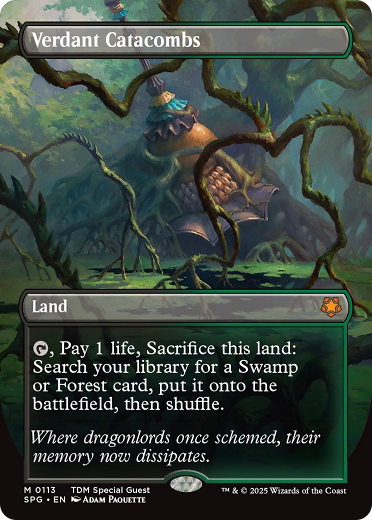 Verdant Catacombs (Borderless) [Tarkir: Dragonstorm Special Guests] | Shuffle n Cut Hobbies & Games
