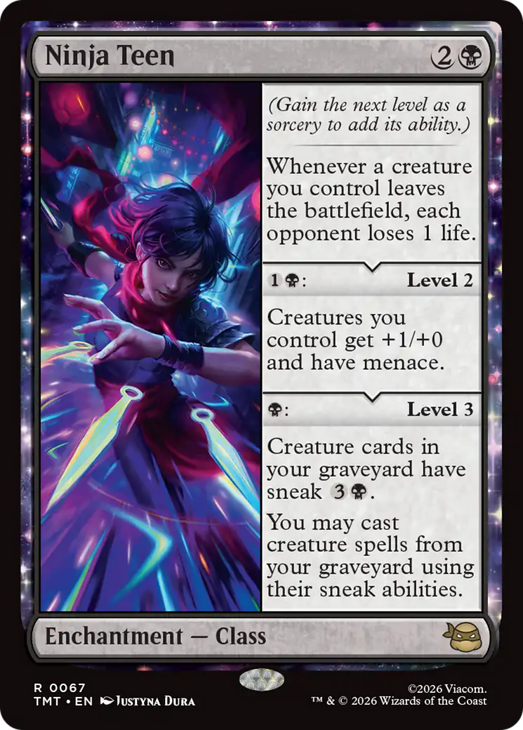 Ninja Teen [Teenage Mutant Ninja Turtles] | Shuffle n Cut Hobbies & Games