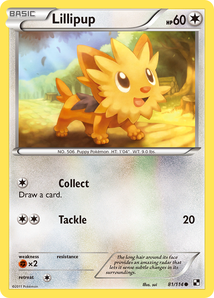 Lillipup (81/114) [Black & White: Base Set] | Shuffle n Cut Hobbies & Games