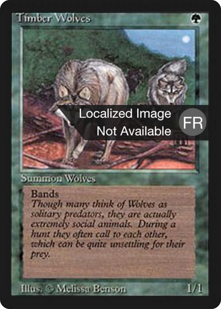 Timber Wolves [Foreign Black Border] | Shuffle n Cut Hobbies & Games