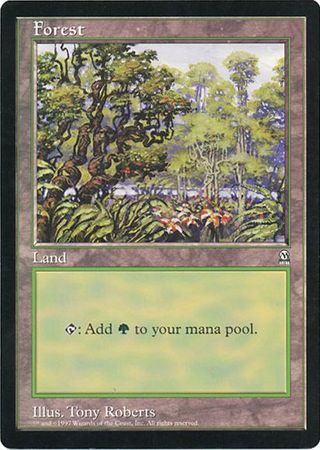 Forest (Oversized) [Oversize Cards] | Shuffle n Cut Hobbies & Games