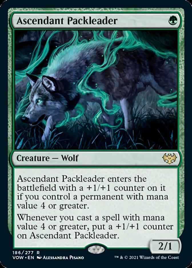 Ascendant Packleader [Innistrad: Crimson Vow] | Shuffle n Cut Hobbies & Games