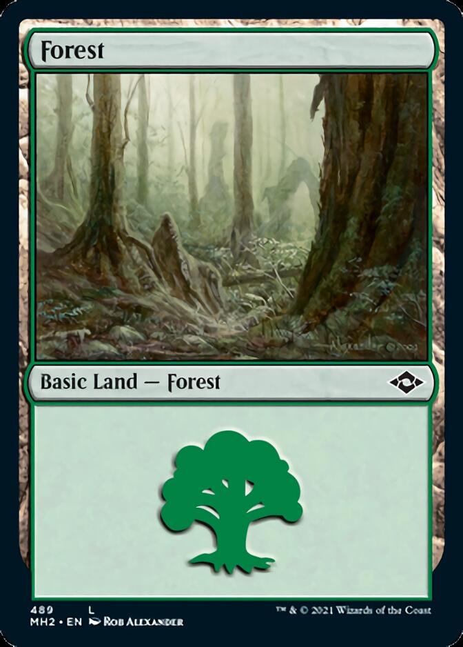 Forest (489) [Modern Horizons 2] | Shuffle n Cut Hobbies & Games