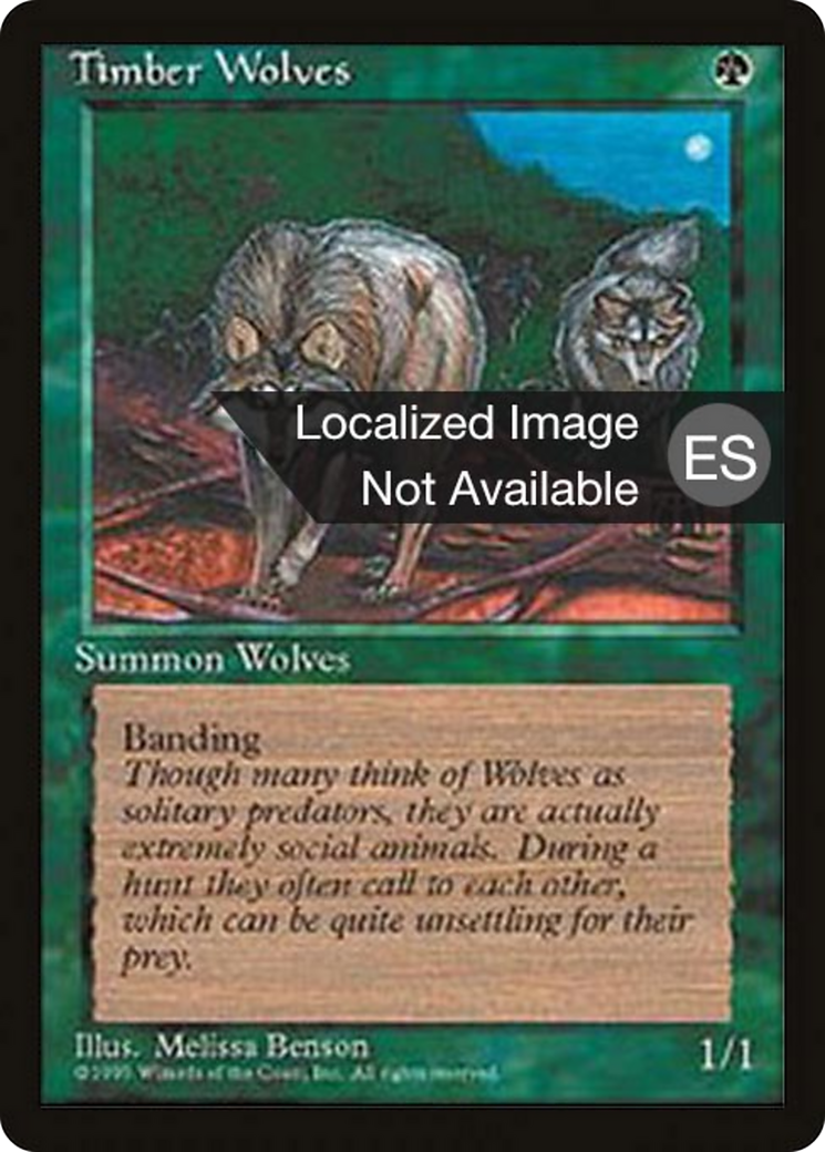 Timber Wolves [Fourth Edition Foreign Black Border] | Shuffle n Cut Hobbies & Games