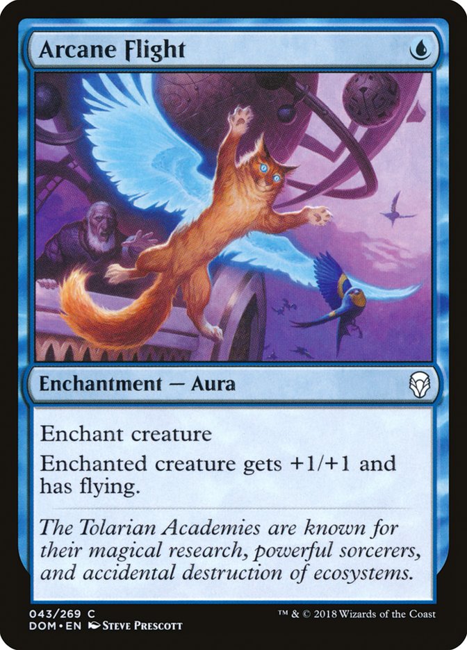 Arcane Flight [Dominaria] | Shuffle n Cut Hobbies & Games