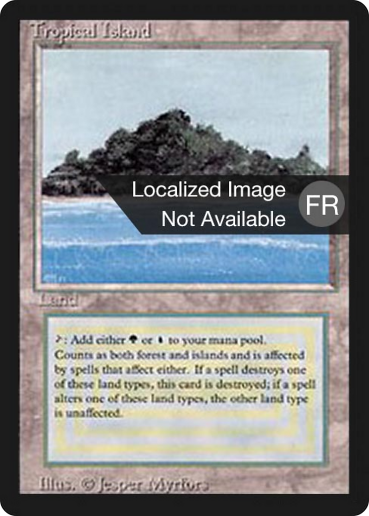 Tropical Island [Foreign Black Border] | Shuffle n Cut Hobbies & Games