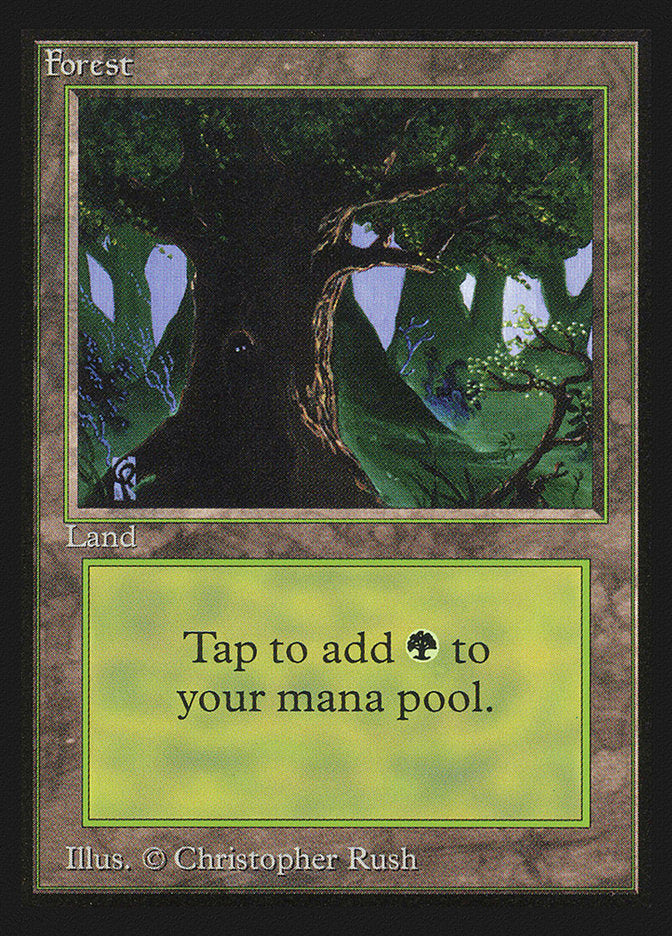 Forest (Eyes in Tree) [International Collectors' Edition] | Shuffle n Cut Hobbies & Games