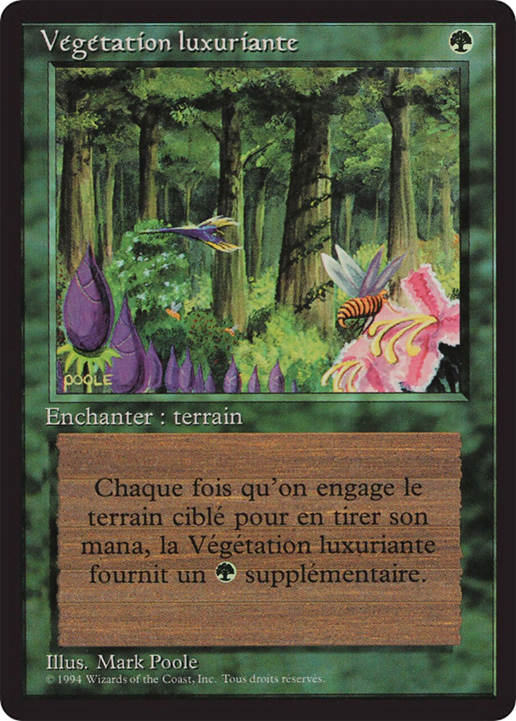 Wild Growth [Foreign Black Border] | Shuffle n Cut Hobbies & Games
