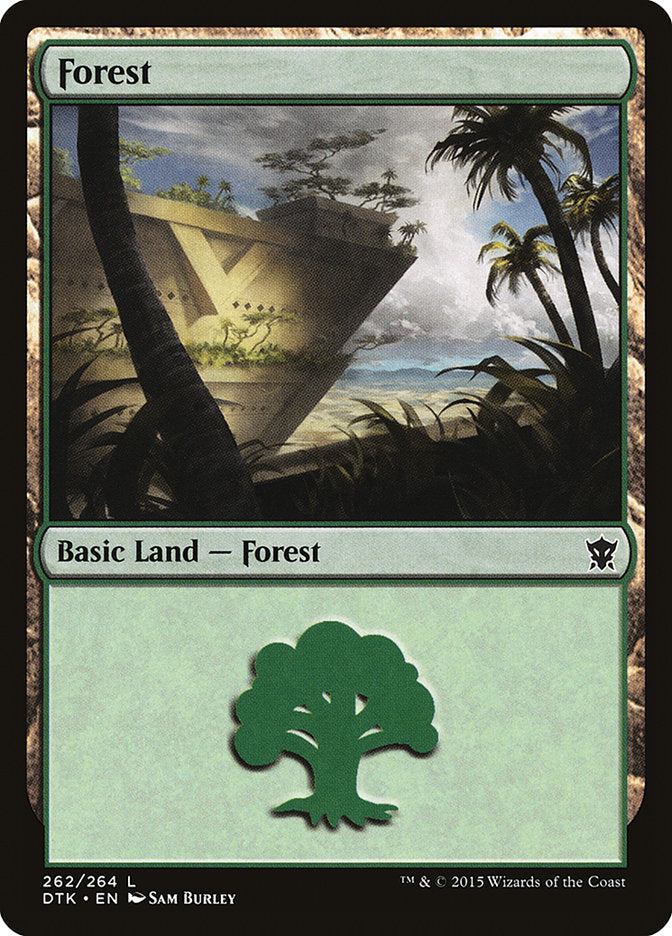Forest (262) [Dragons of Tarkir] | Shuffle n Cut Hobbies & Games