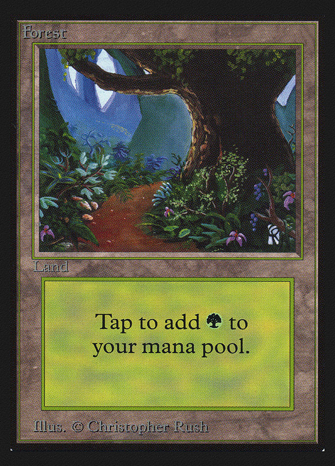 Forest (Flower Path) [International Collectors' Edition] | Shuffle n Cut Hobbies & Games