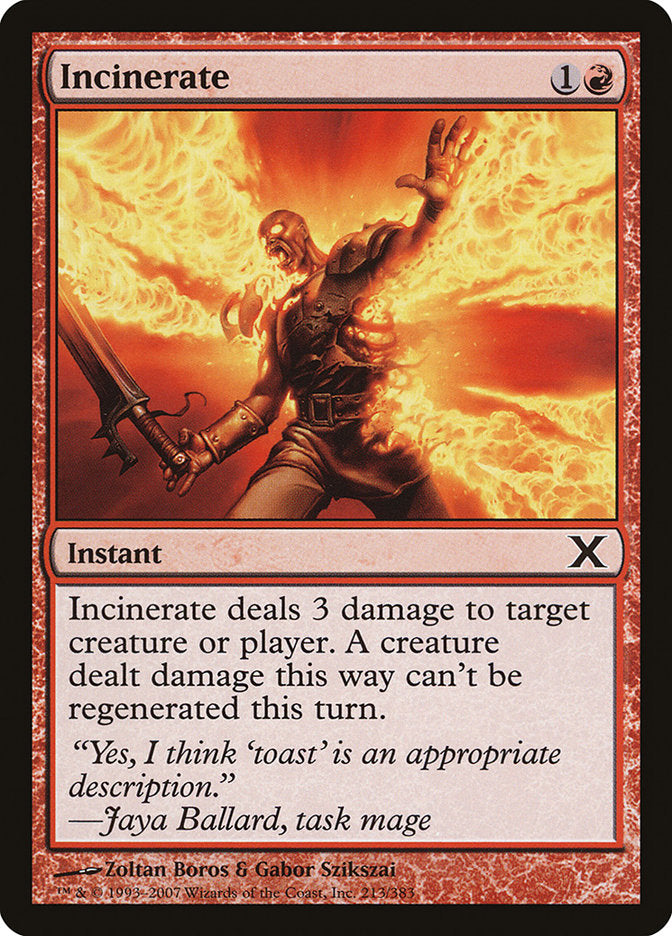 Incinerate [Tenth Edition] | Shuffle n Cut Hobbies & Games