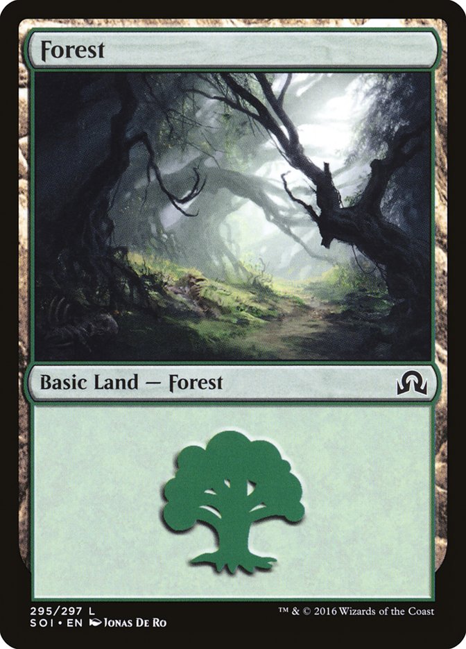 Forest (295) [Shadows over Innistrad] | Shuffle n Cut Hobbies & Games