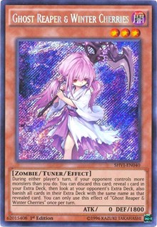 Ghost Reaper & Winter Cherries [SHVI-EN040] Secret Rare | Shuffle n Cut Hobbies & Games