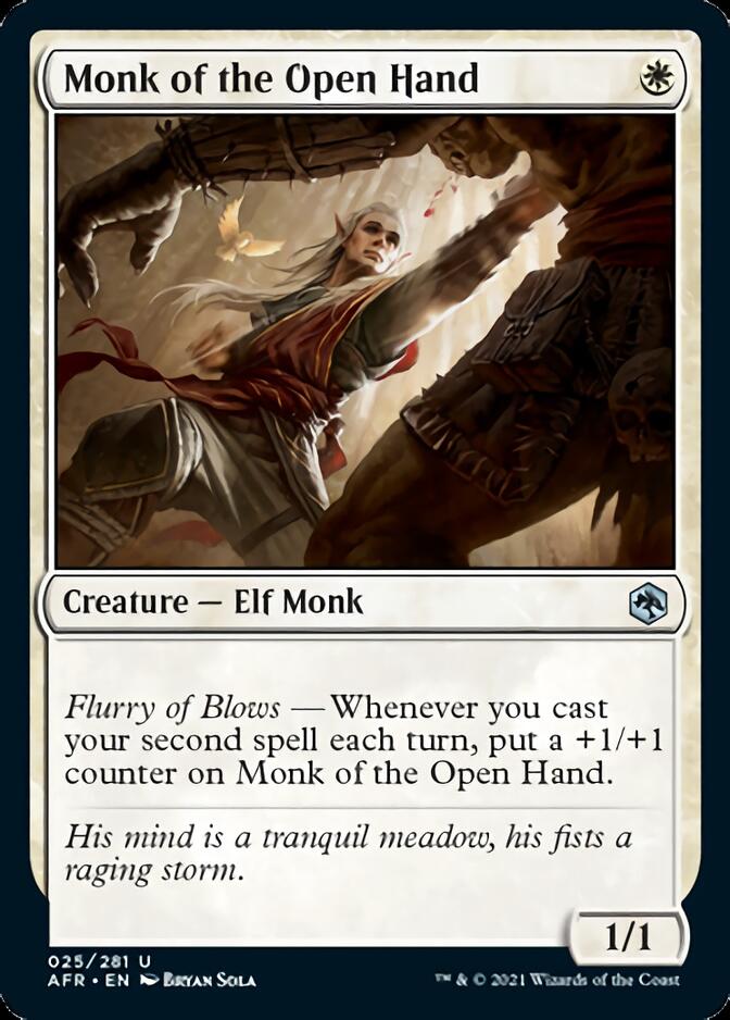 Monk of the Open Hand [Dungeons & Dragons: Adventures in the Forgotten Realms] | Shuffle n Cut Hobbies & Games