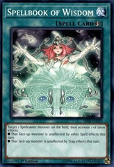Spellbook of Wisdom [SR08-EN029] Common | Shuffle n Cut Hobbies & Games