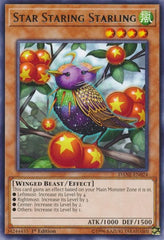 Star Staring Starling [DANE-EN024] Rare | Shuffle n Cut Hobbies & Games