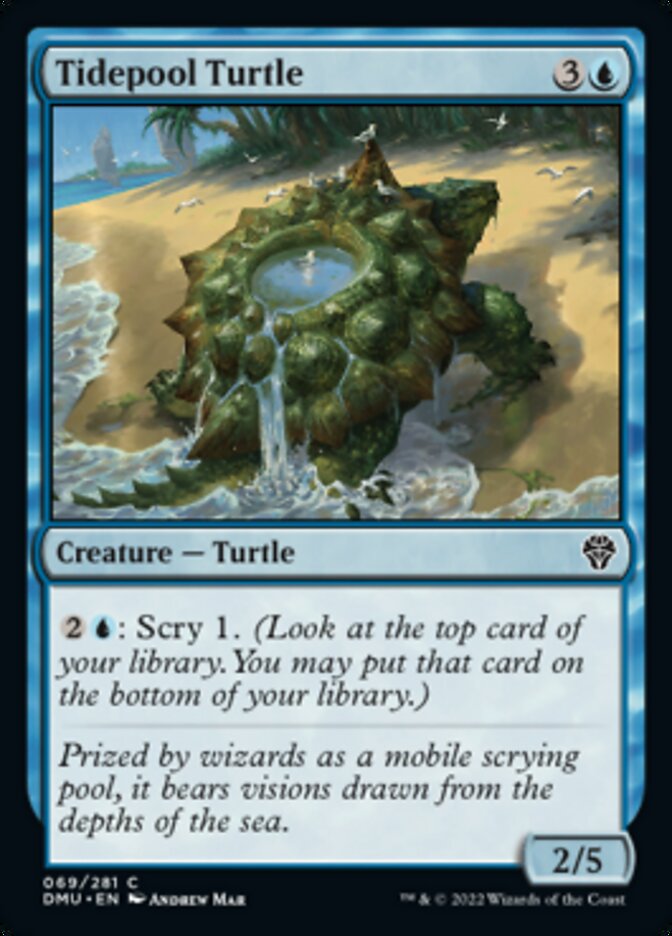 Tidepool Turtle [Dominaria United] | Shuffle n Cut Hobbies & Games