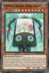 Flower Cardian Zebra Grass [DLCS-EN128] Common | Shuffle n Cut Hobbies & Games