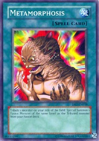 Metamorphosis [DR1-EN038] Common | Shuffle n Cut Hobbies & Games
