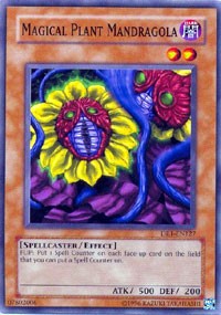 Magical Plant Mandragola [DR1-EN127] Common | Shuffle n Cut Hobbies & Games