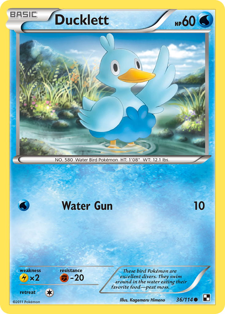 Ducklett (36/114) [Black & White: Base Set] | Shuffle n Cut Hobbies & Games