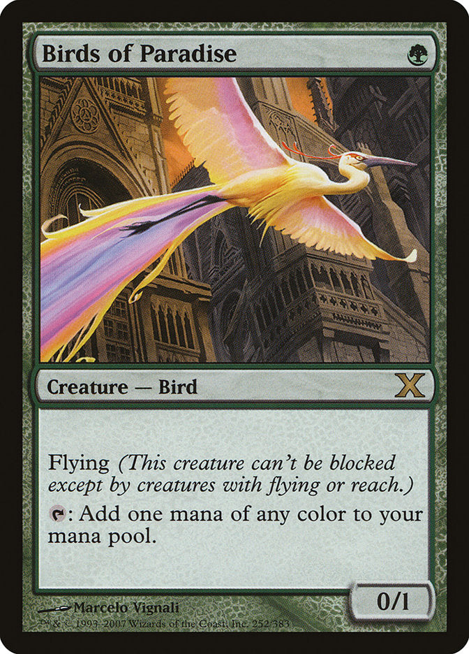 Birds of Paradise [Tenth Edition] | Shuffle n Cut Hobbies & Games