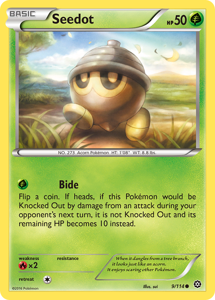 Seedot (9/114) [XY: Steam Siege] | Shuffle n Cut Hobbies & Games