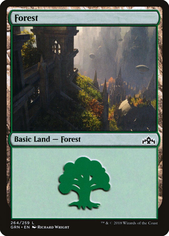 Forest (264) [Guilds of Ravnica] | Shuffle n Cut Hobbies & Games