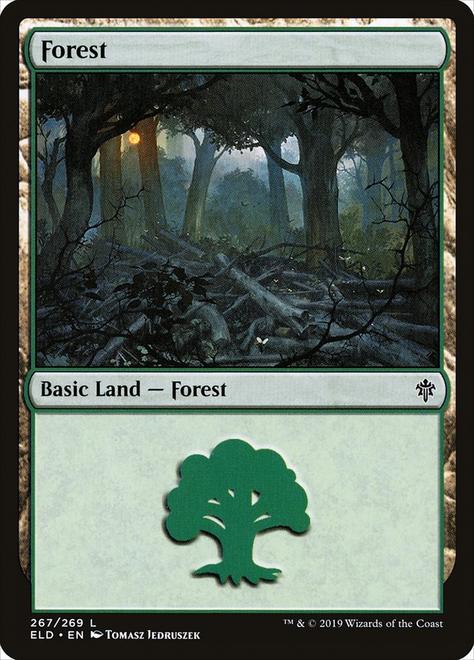 Forest (267) [Throne of Eldraine] | Shuffle n Cut Hobbies & Games