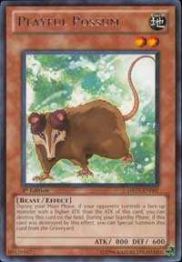 Playful Possum [DREV-EN007] Rare | Shuffle n Cut Hobbies & Games
