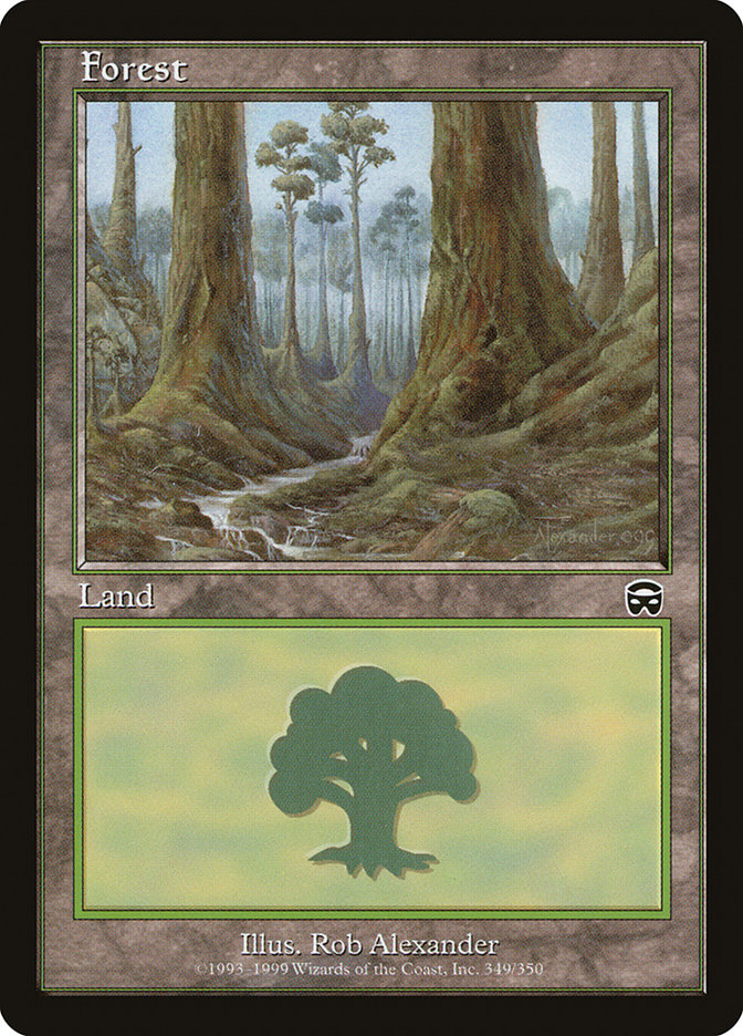 Forest (349) [Mercadian Masques] | Shuffle n Cut Hobbies & Games